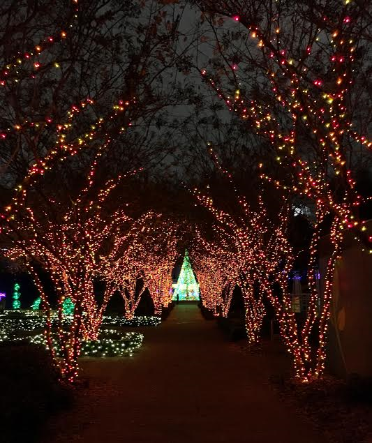 Atlanta Botanical Garden Christmas Lights in Atlanta ATL Bucket List