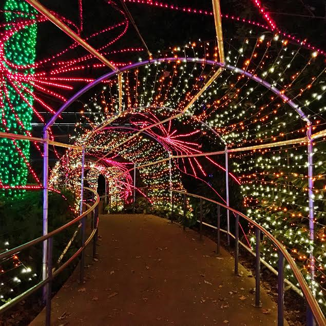 Top 5 Places to See Christmas Lights in Atlanta ATL Bucket List
